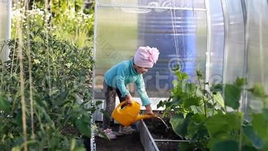 小女孩用浇水罐里的水给温室里的植物浇水。